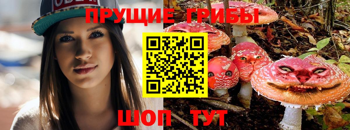 Галлюциногенные грибы MAGIC MUSHROOMS  Вход с VPN  Кисловодск  где купить наркоту  Псилоцибиновые грибы Magic Shrooms 